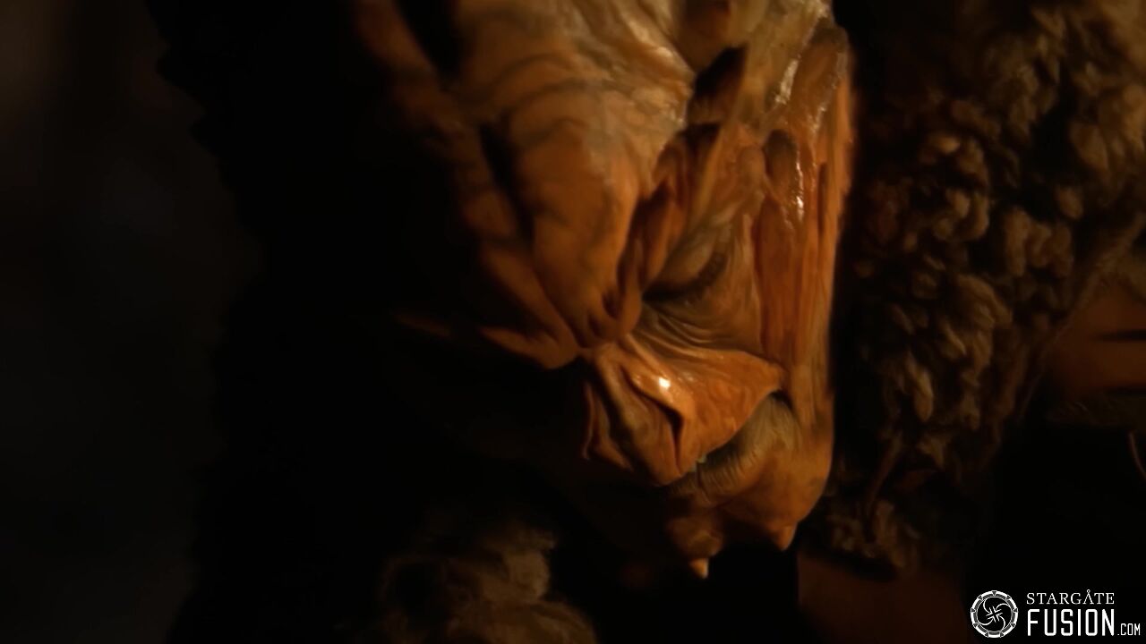 Primitifs
