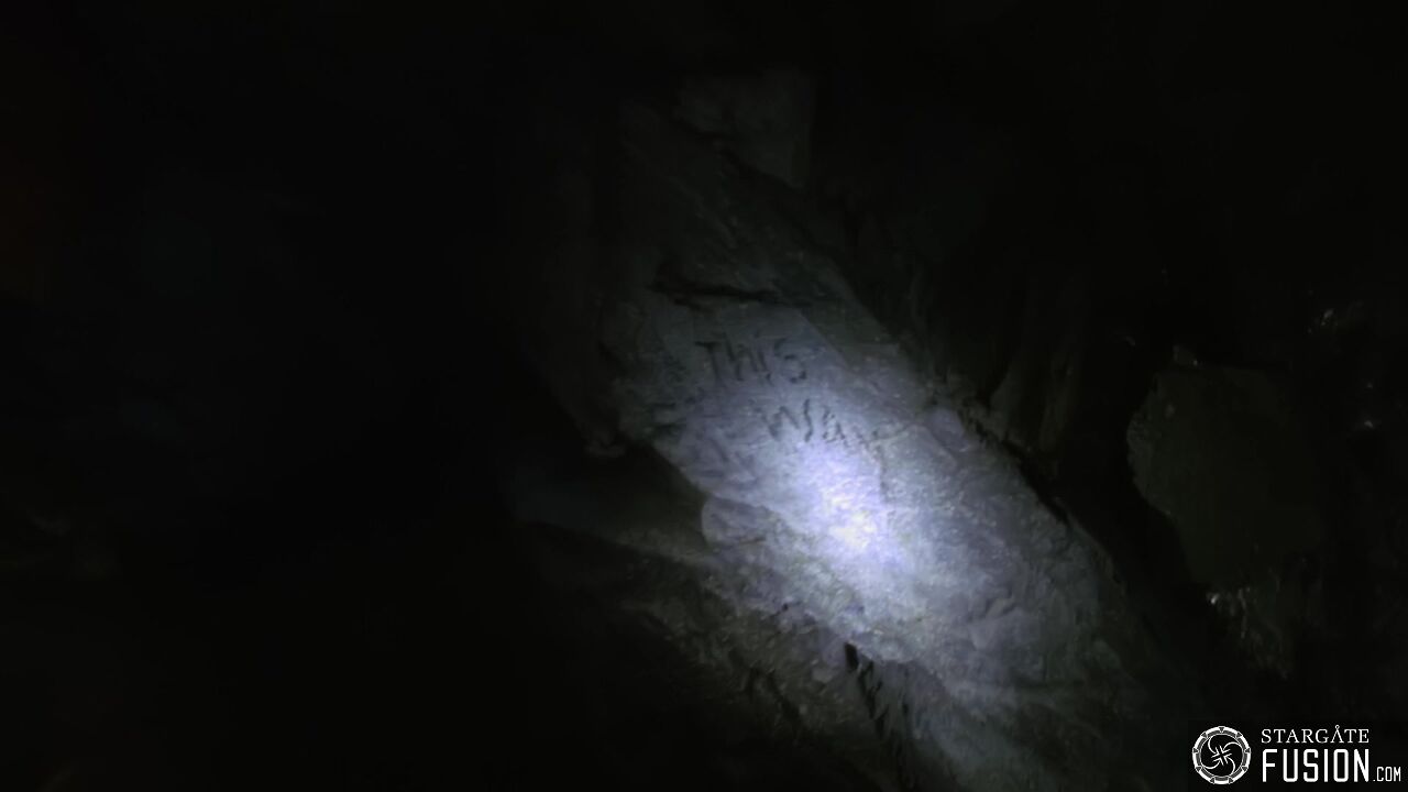 Primitifs