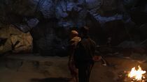 Primitifs