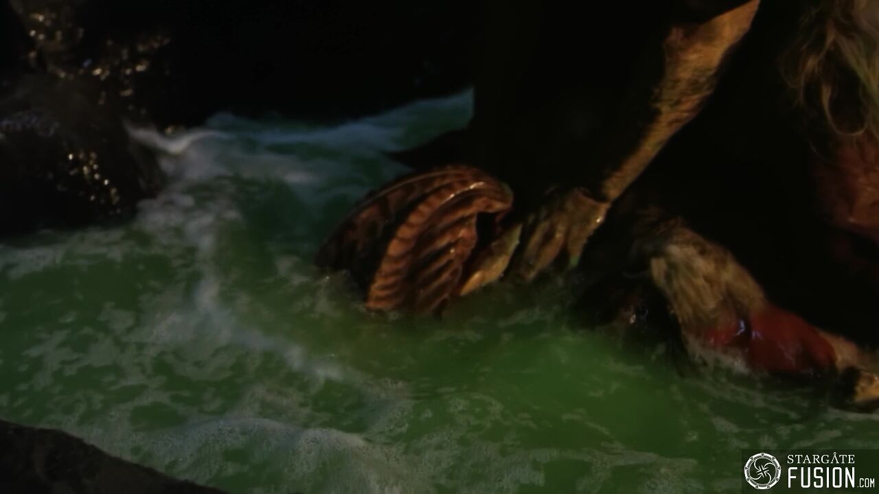 Primitifs