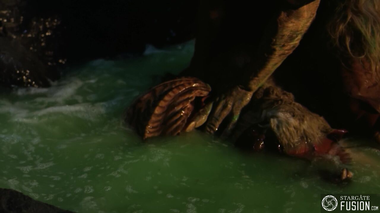Primitifs