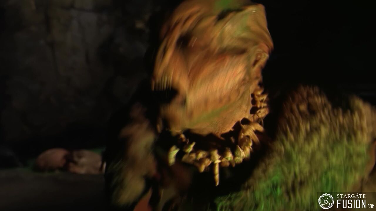 Primitifs