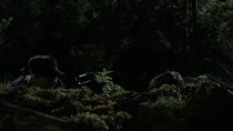Perdus dans l'espace