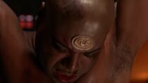 Le venin du Serpent