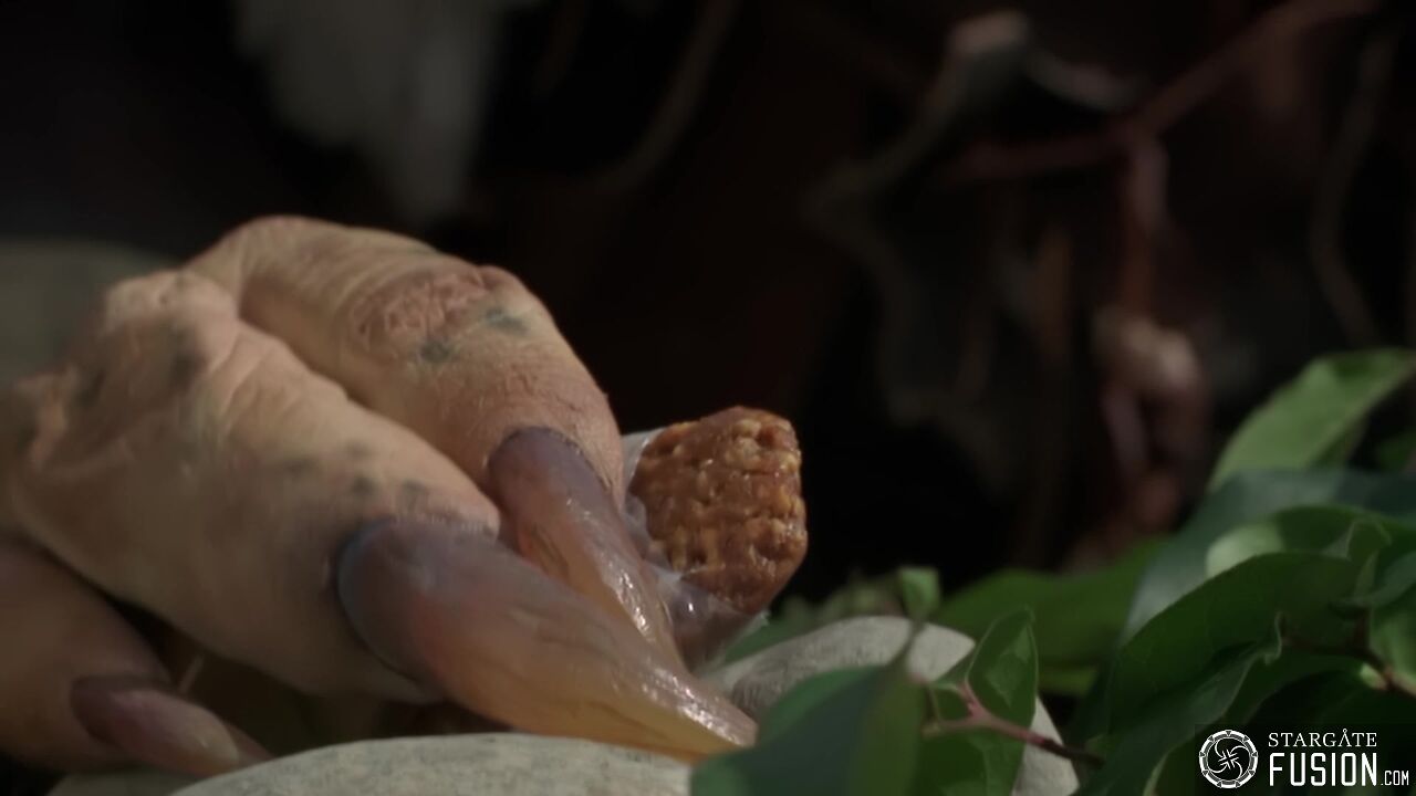 Maîtres et serviteurs