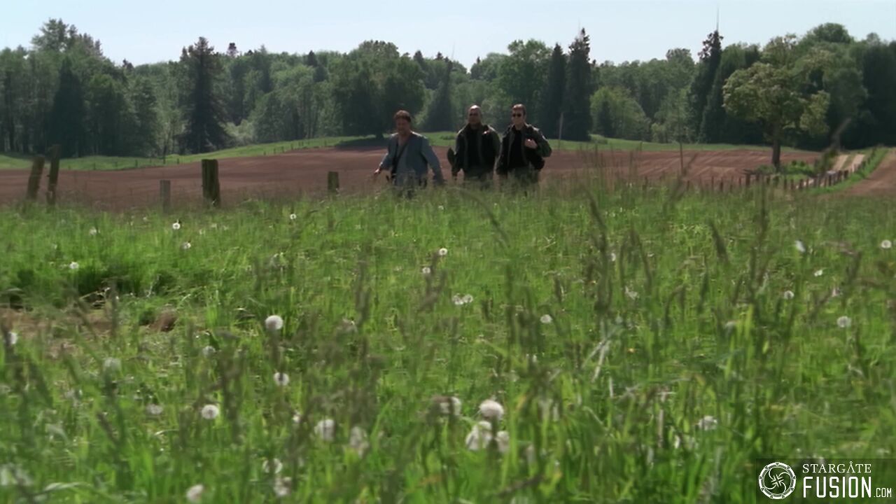 Les faux amis