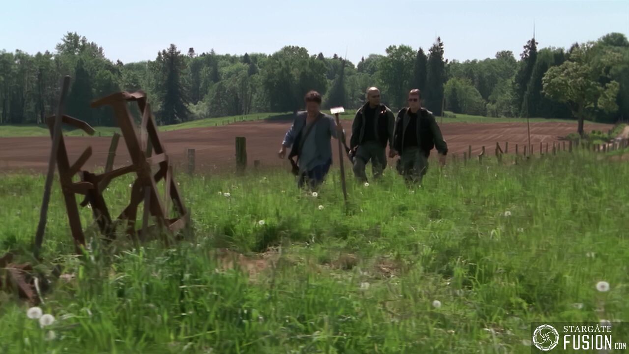 Les faux amis