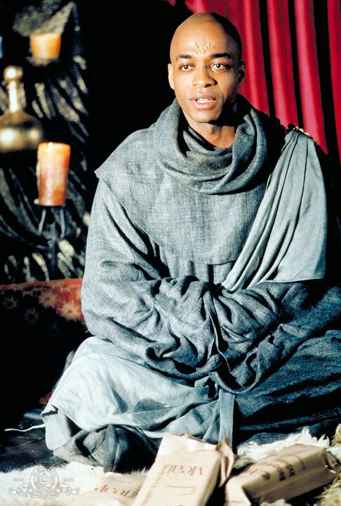 Le guerrier