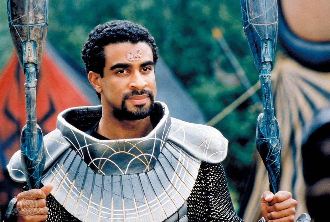 Le guerrier