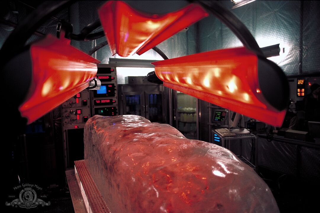 Prisonnière des glaces