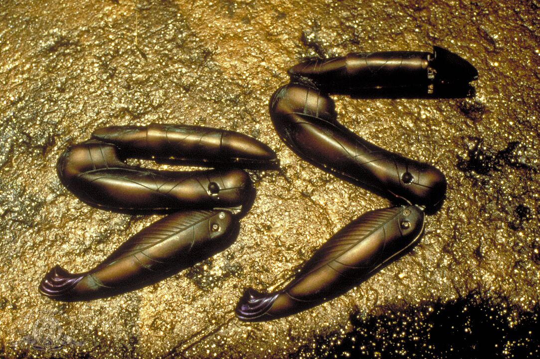 Dans le nid du Serpent