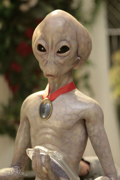 Wormhole X-Treme, le film