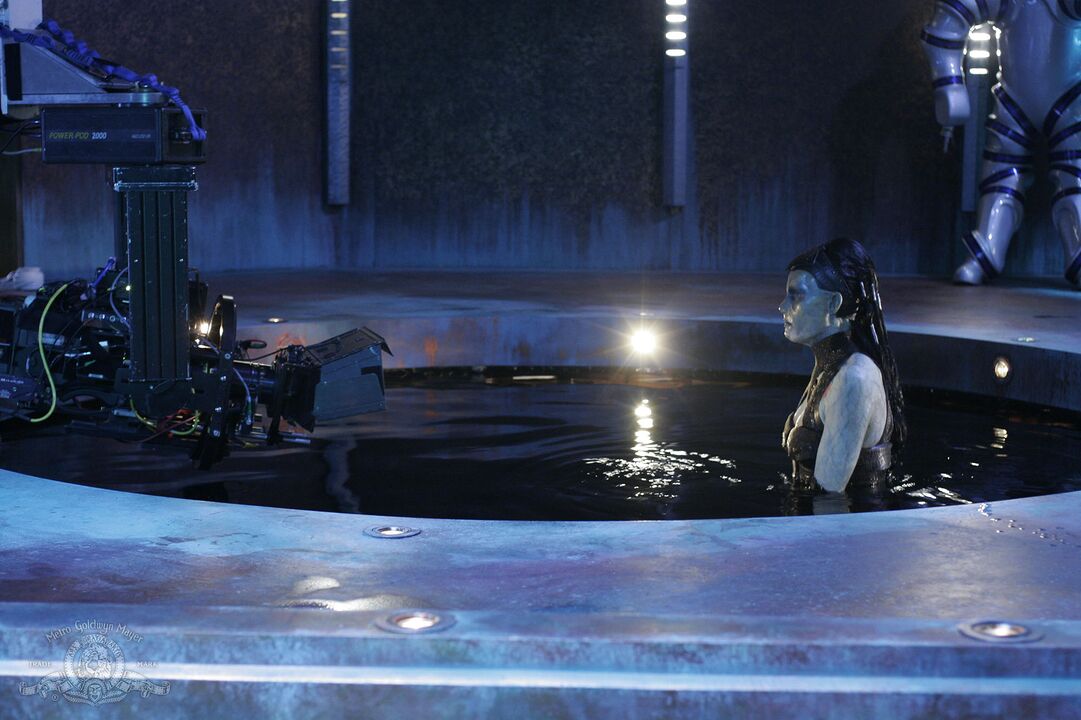 Immersion