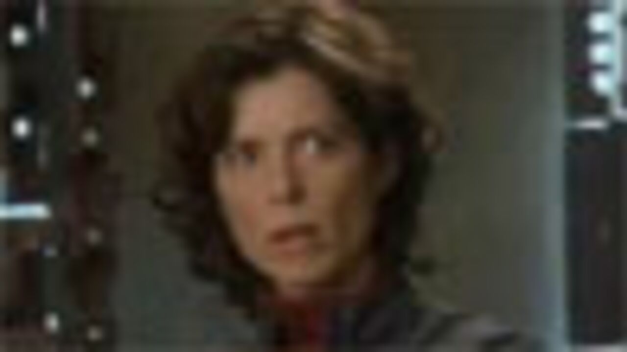 Joyeux anniversaire Torri !