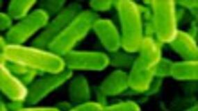 Découverte stupéfiante en Alaska