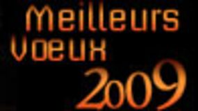 Bonne Année et meilleurs voeux pour 2009 !