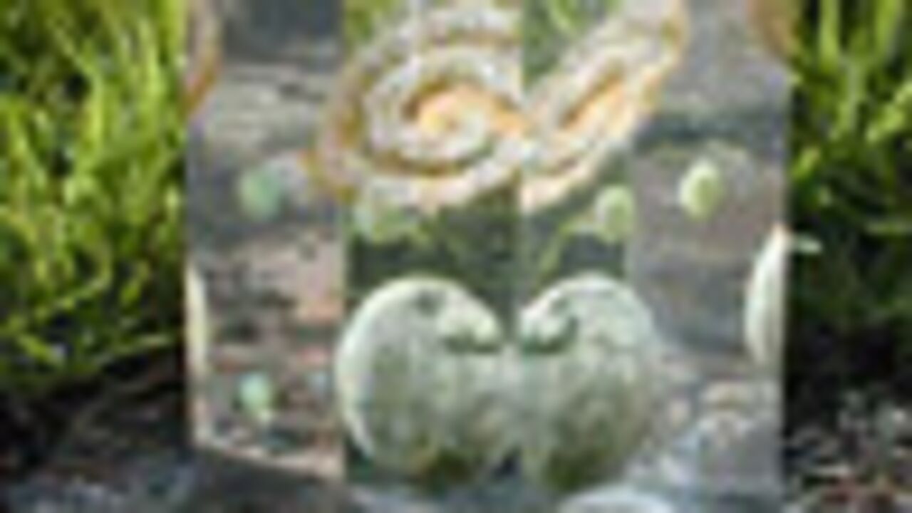 The Shrine nominé pour un Nebula Award