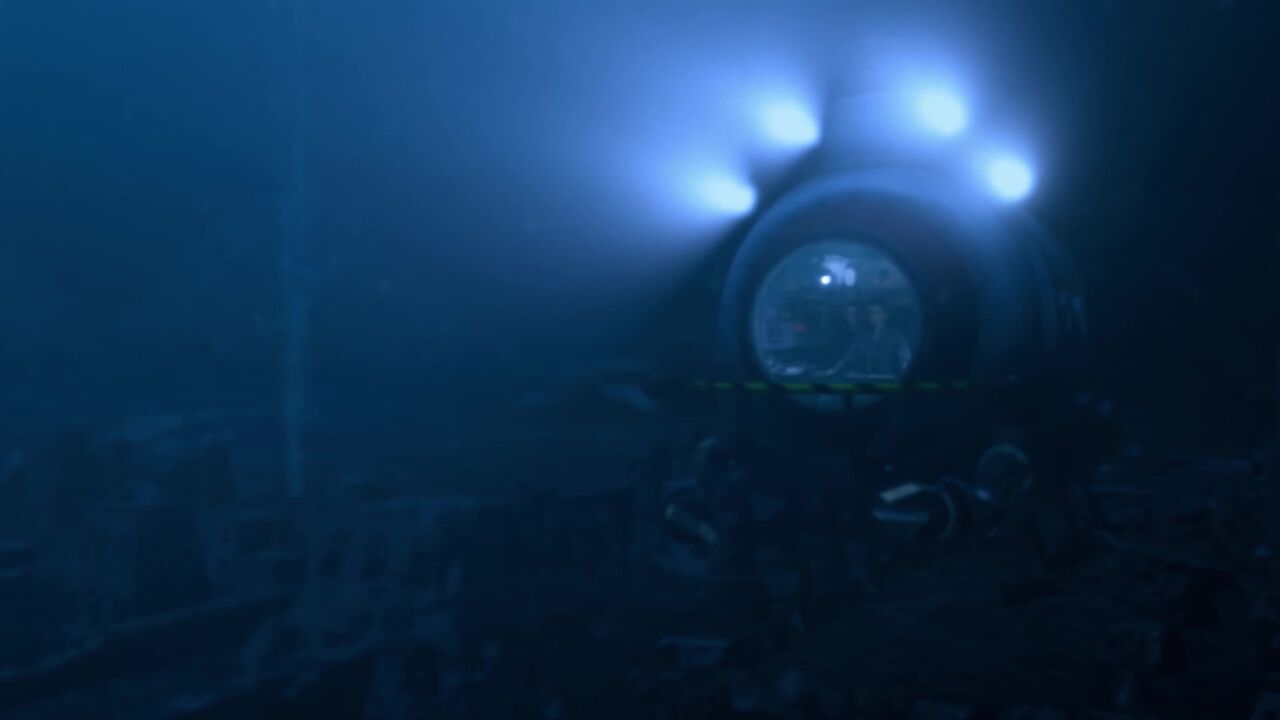 Micro-organismes aquatiques