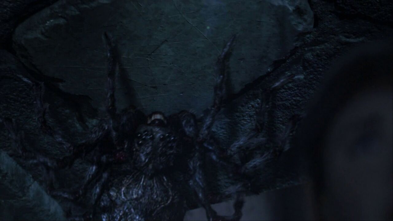 Araignées géantes