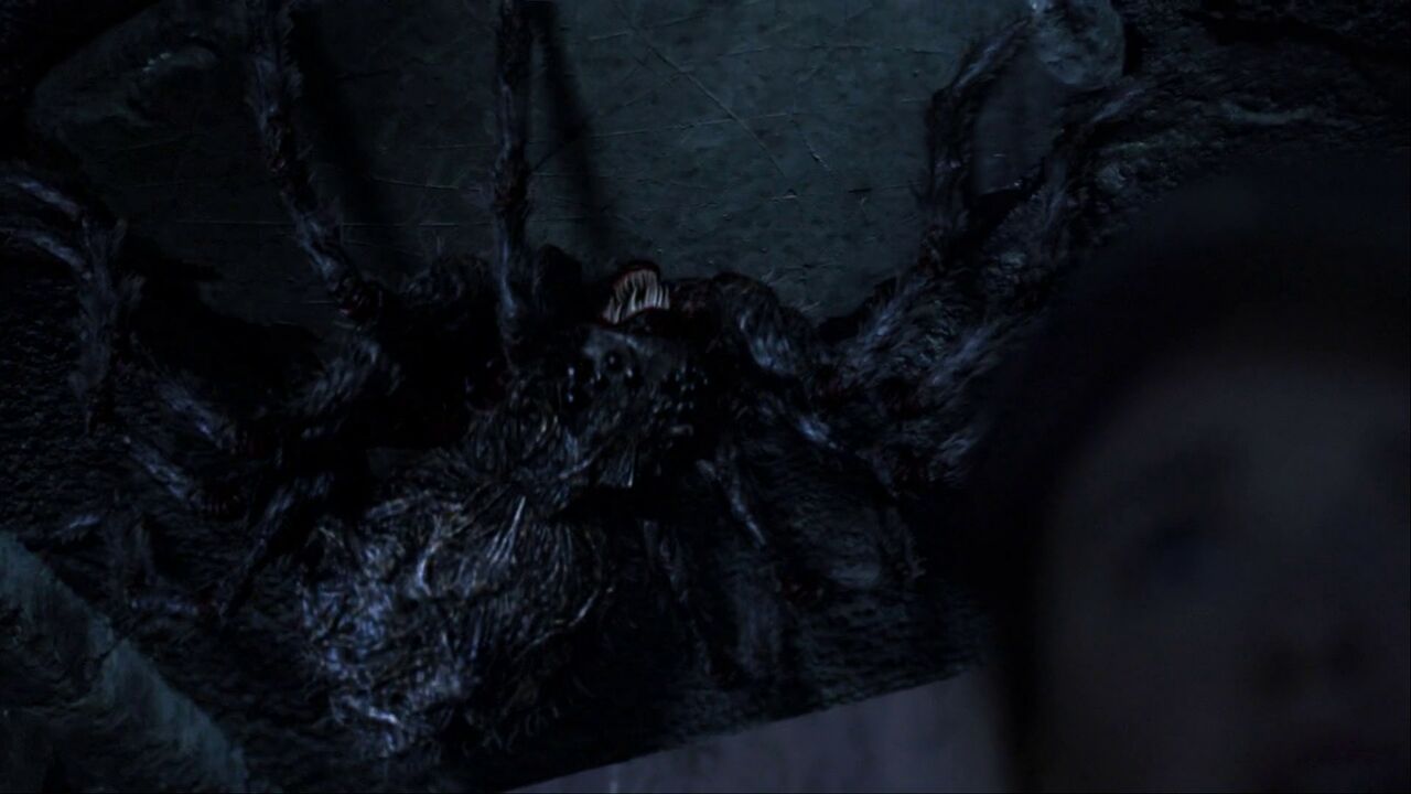 Araignées géantes