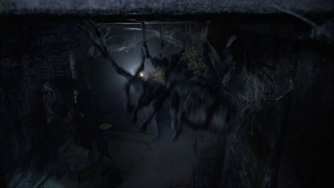 Araignées géantes
