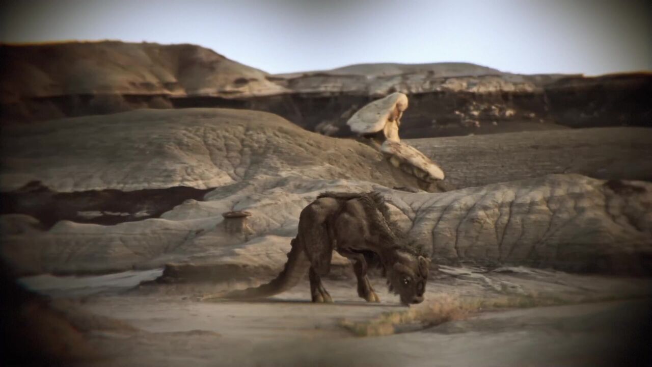 Bisons extraterrestres