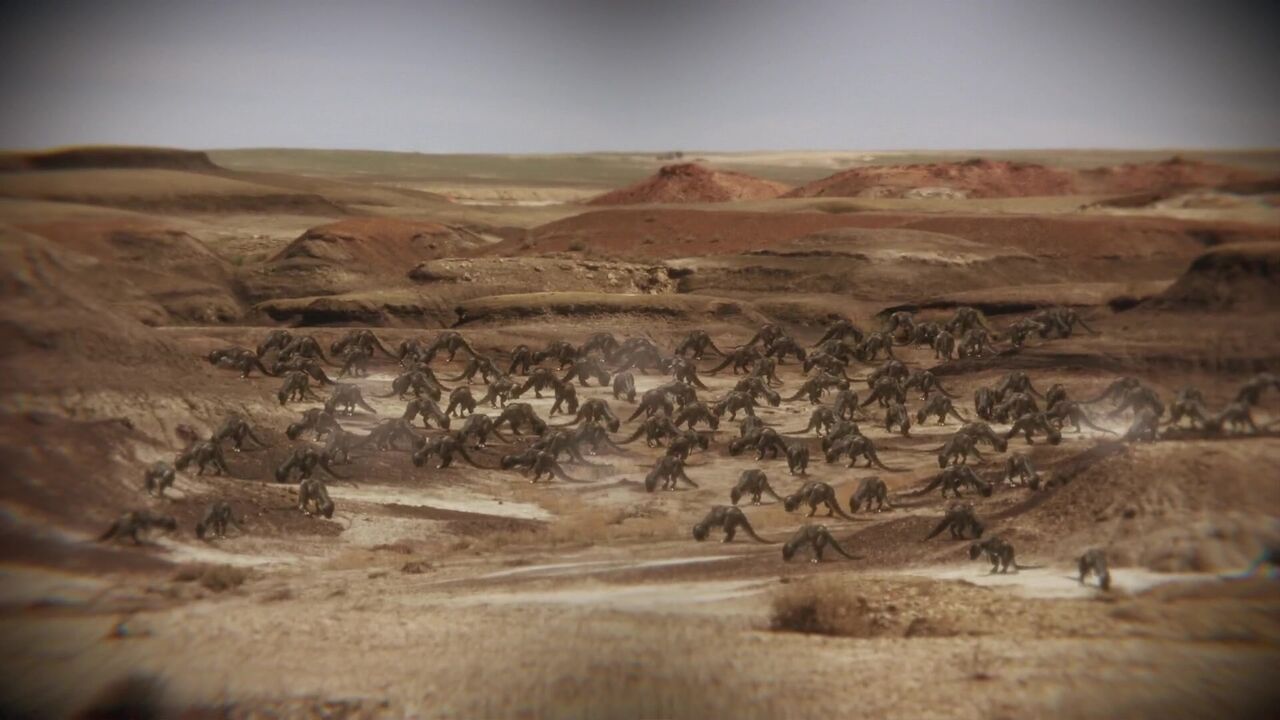 Bisons extraterrestres