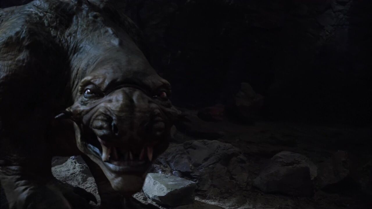Bêtes carnivores