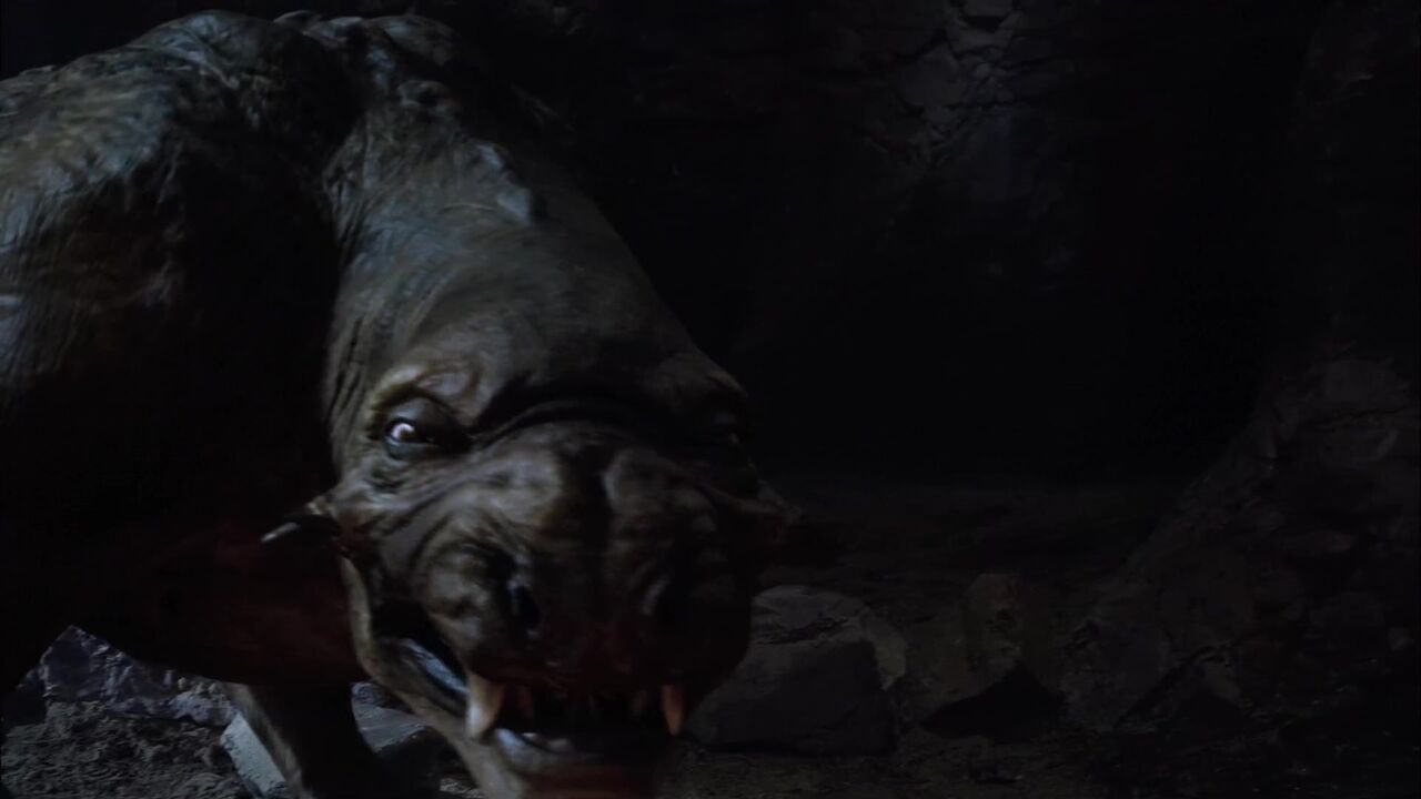 Bêtes carnivores
