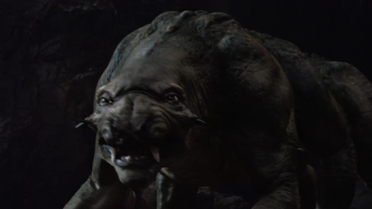 Bêtes carnivores