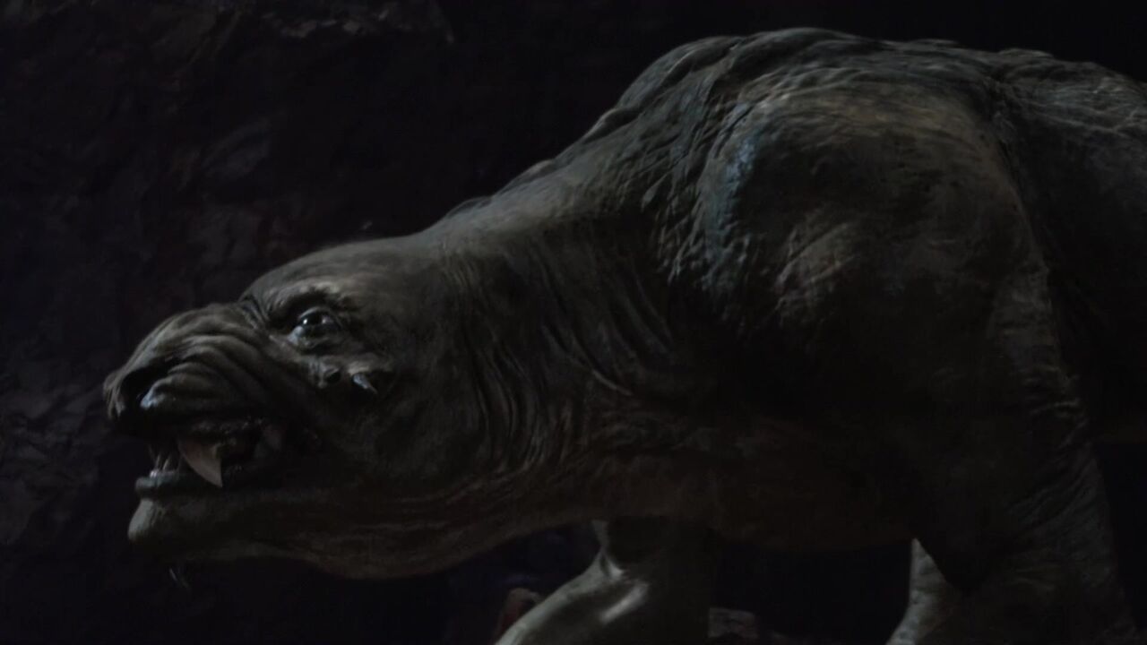 Bêtes carnivores