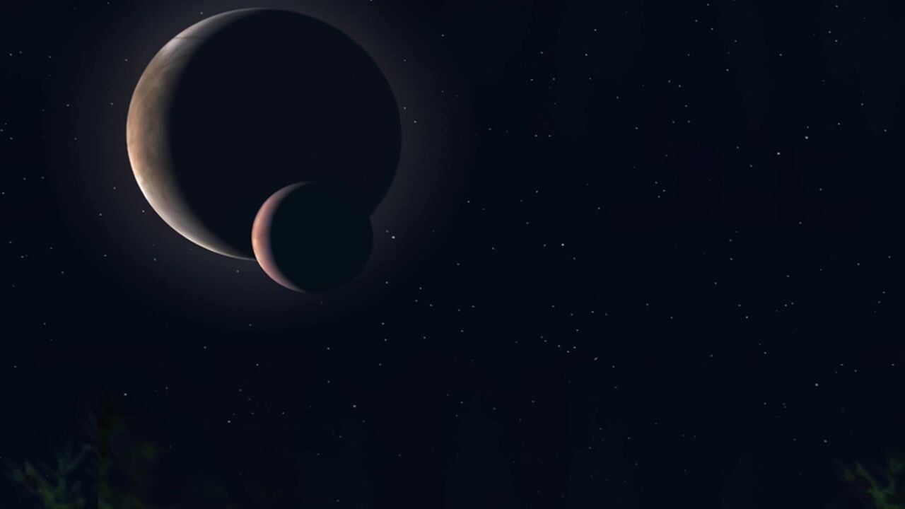 Edora (P5C-768)