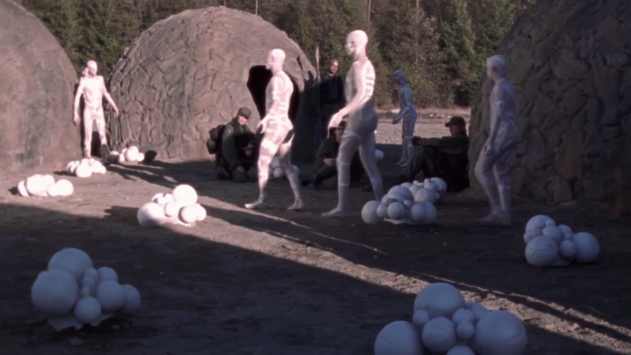 PJ2-445