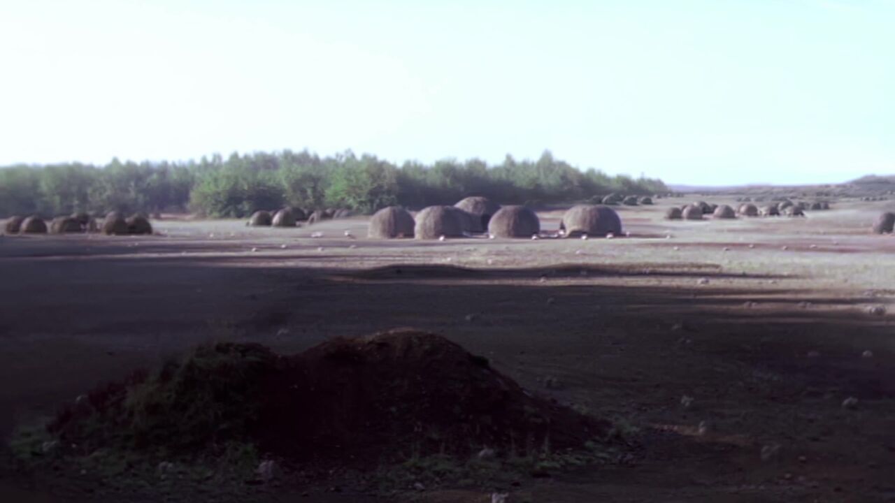 PJ2-445