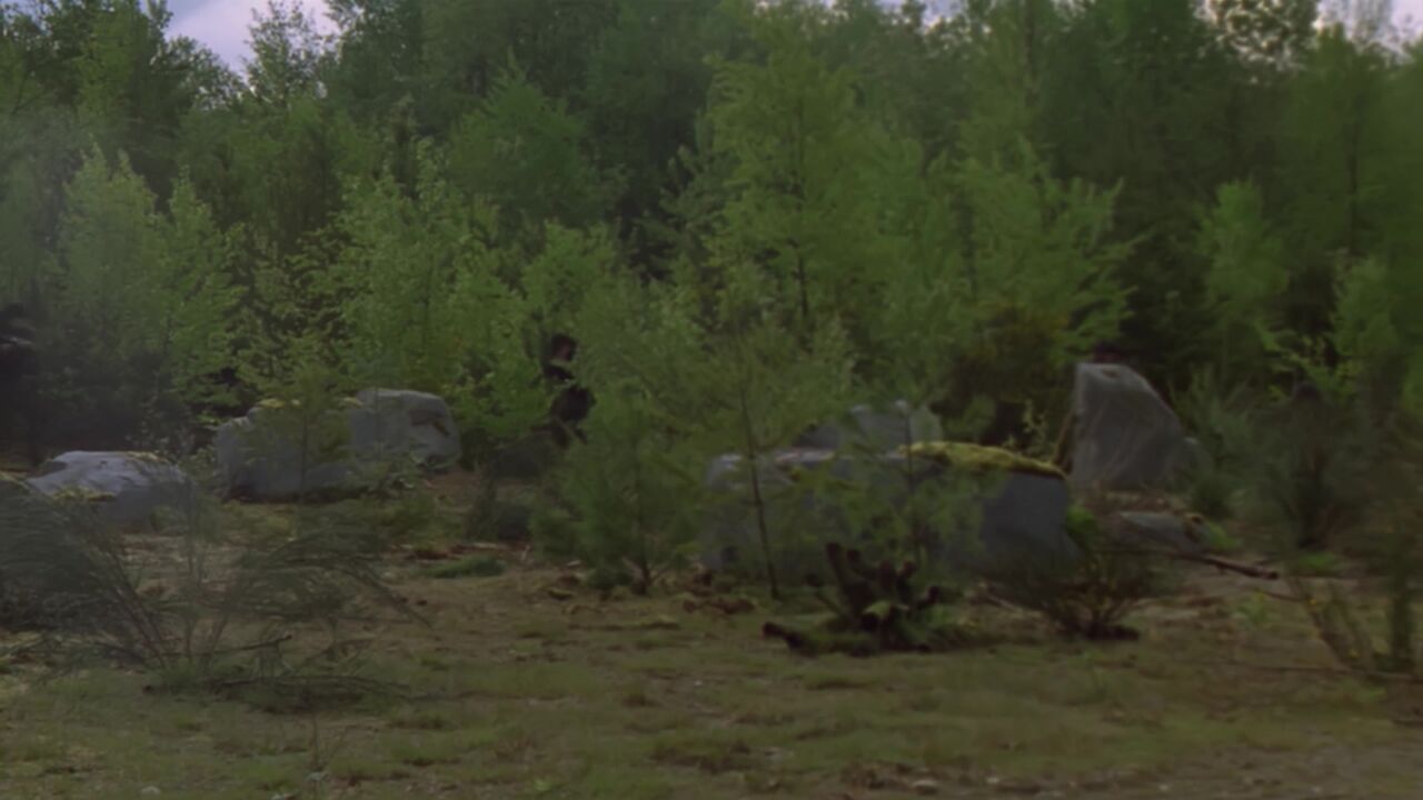 Camp d'entraînement