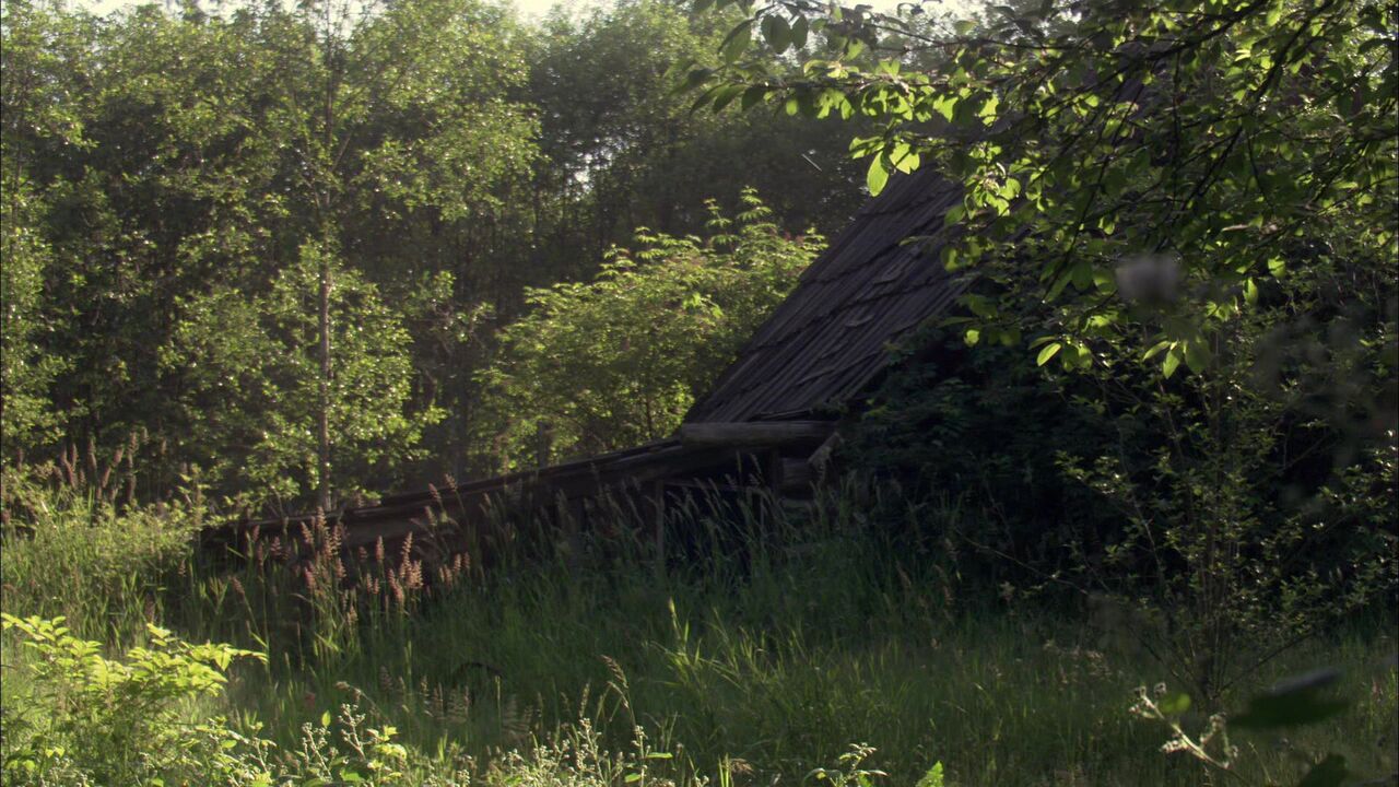 Planète-mère des Geniis