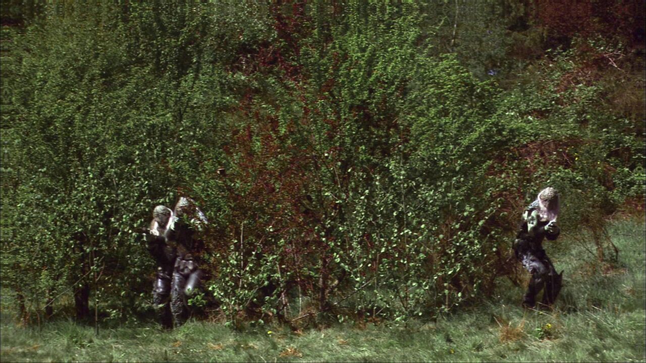 Forêt de ruines