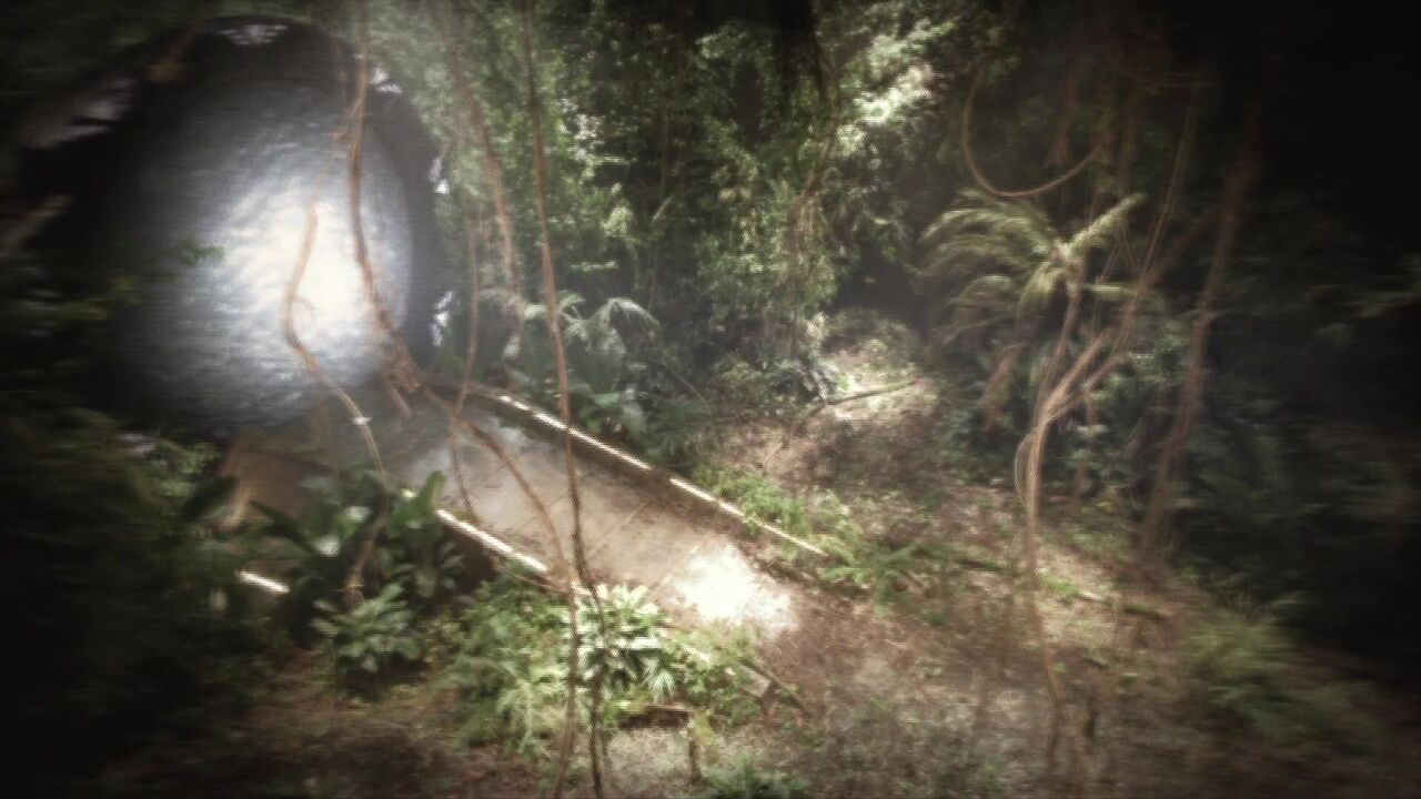 Jungle