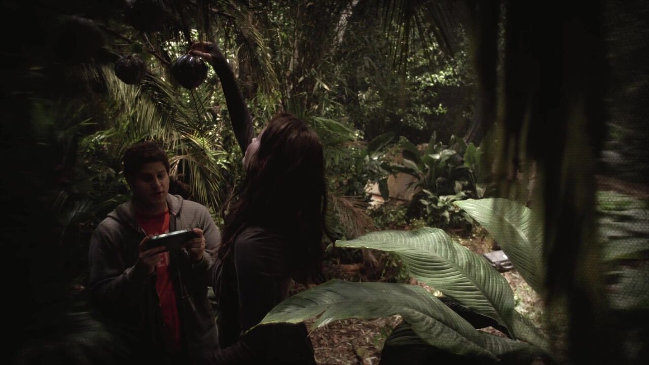 Jungle