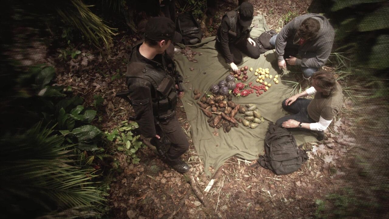 Jungle