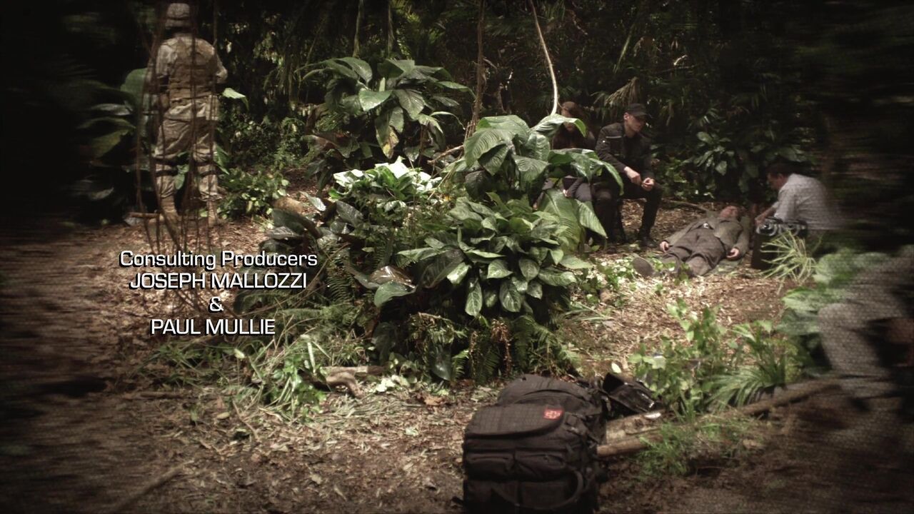 Jungle