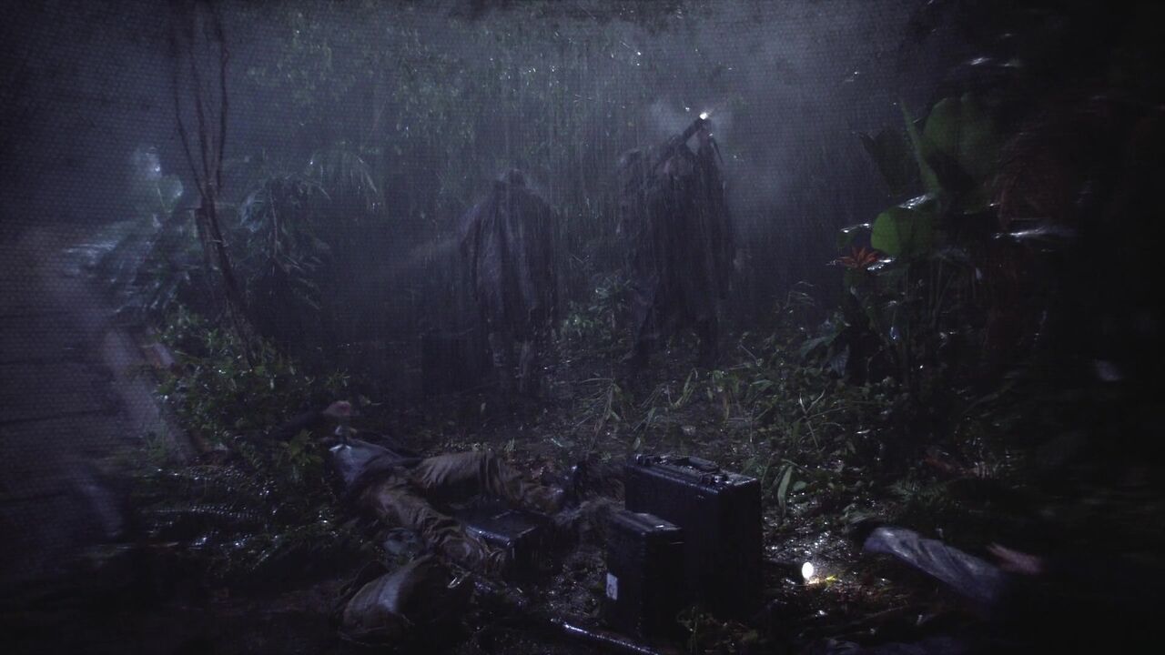 Jungle