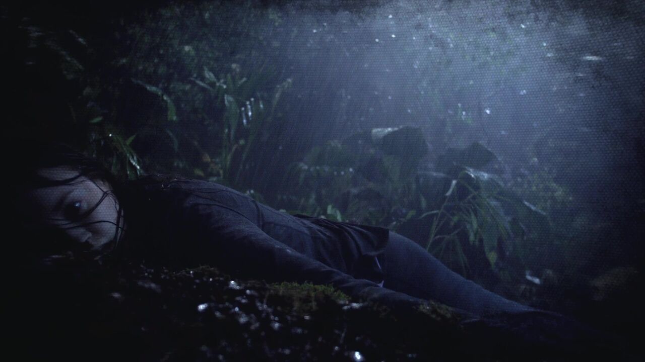Jungle