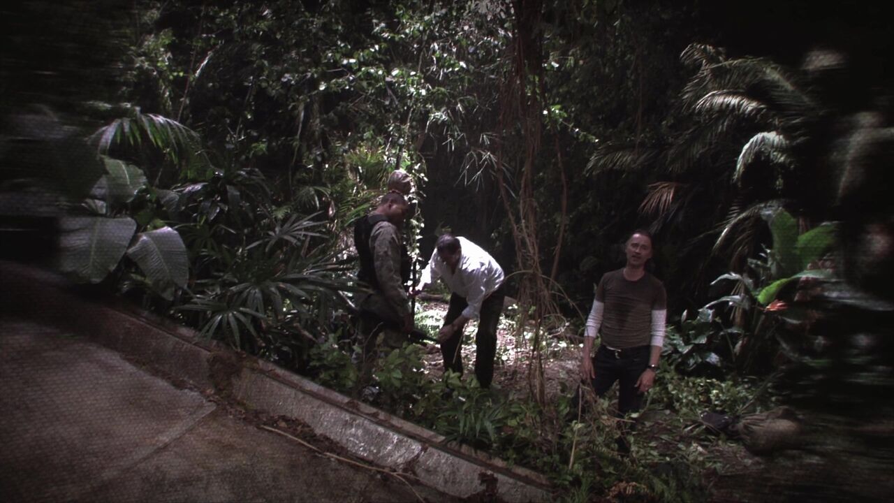 Jungle