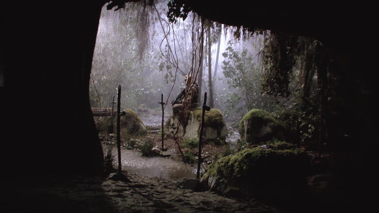 Jungle