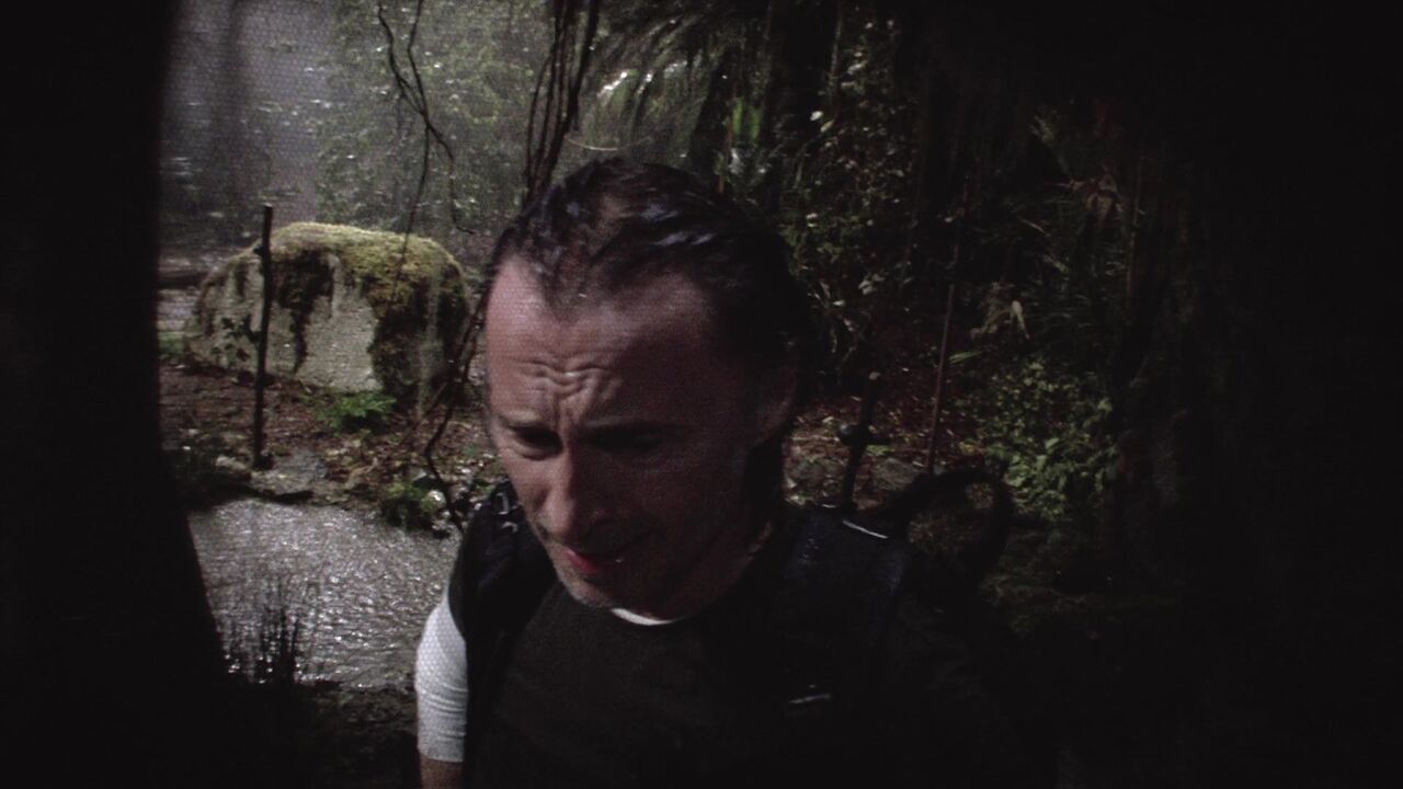 Jungle