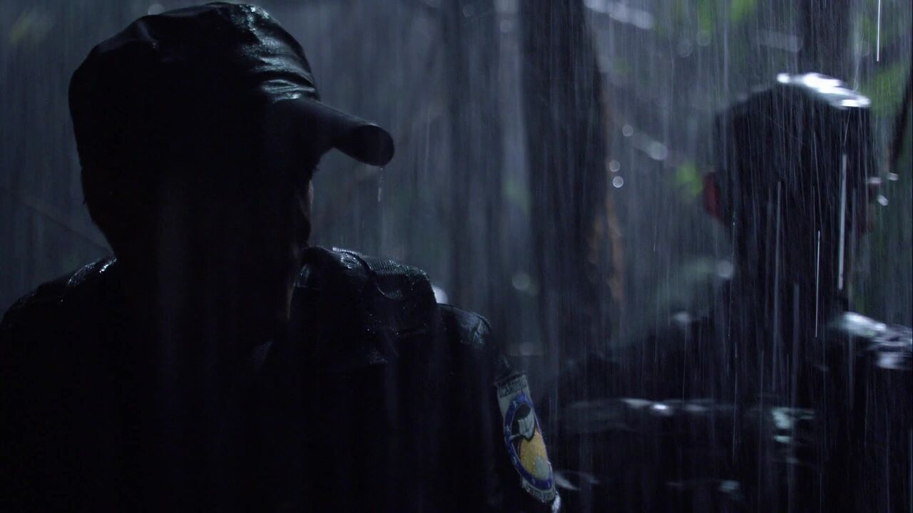 Jungle