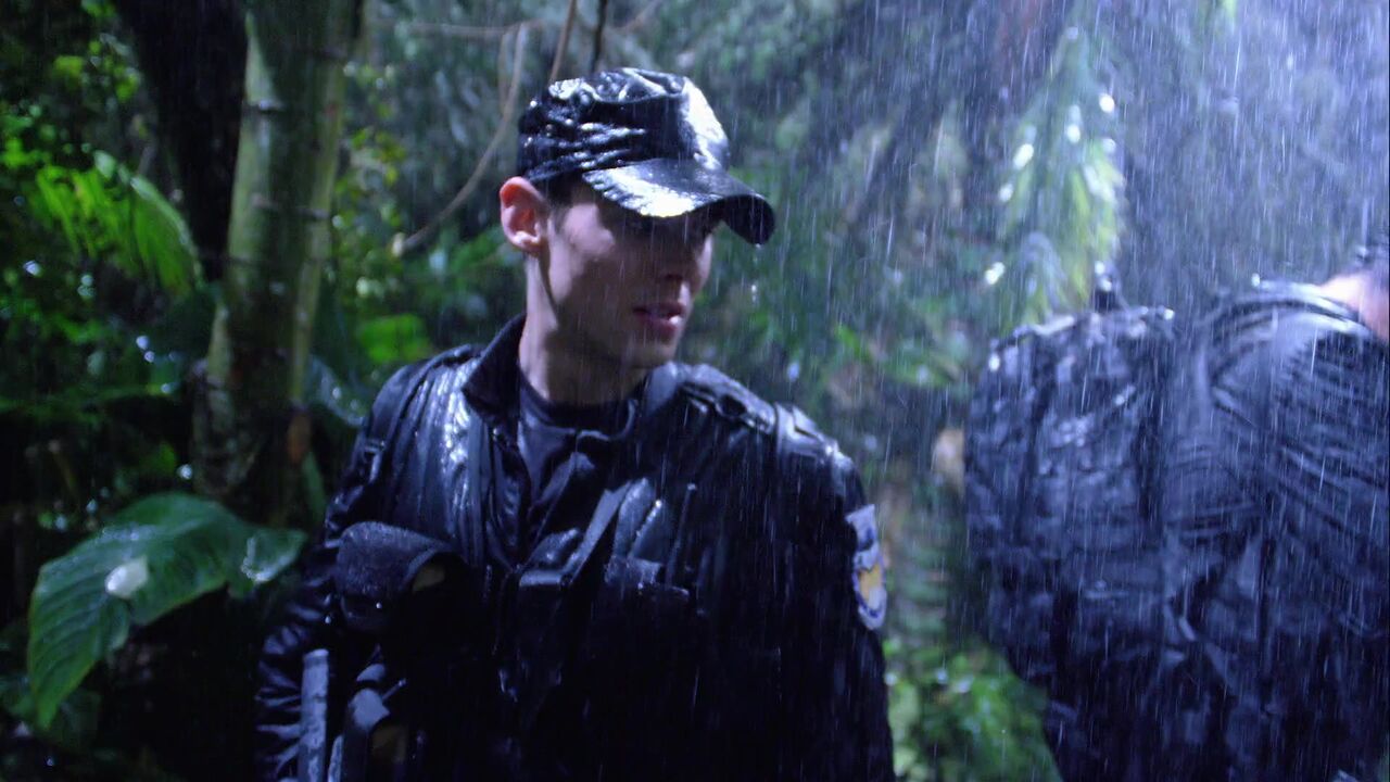 Jungle