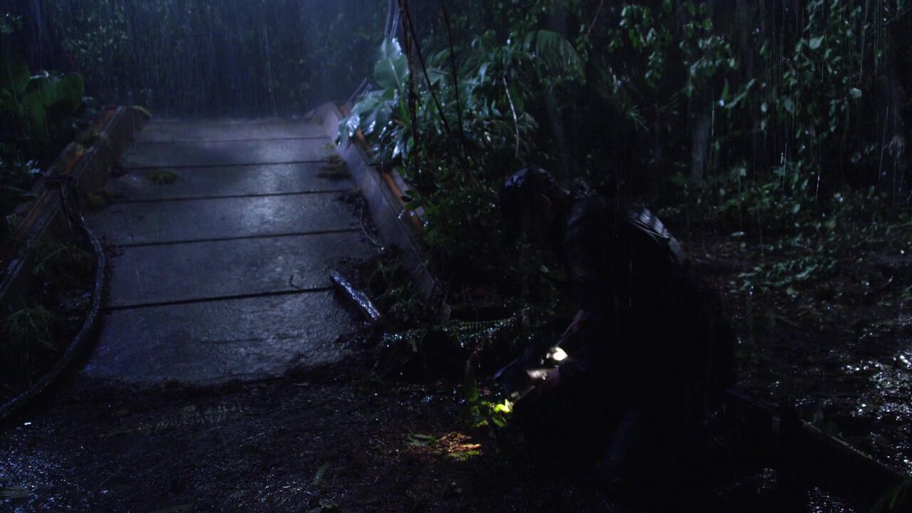 Jungle