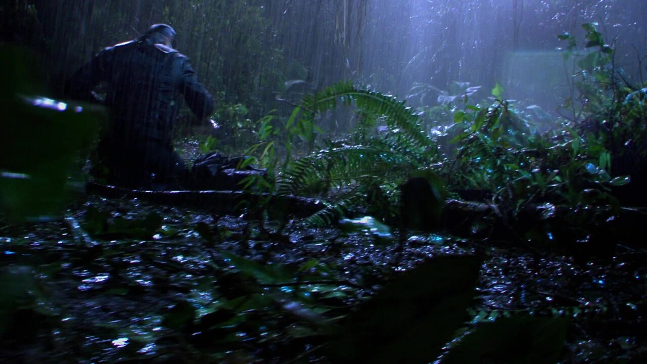 Jungle